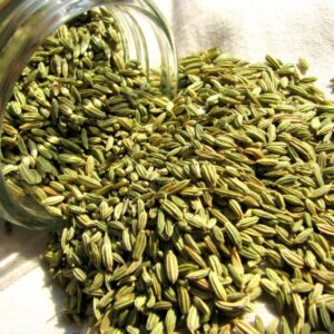 Fennel-versatile vegetable For Sale