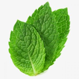 Mint For Sale Online