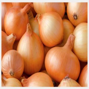 Buy Onion Online