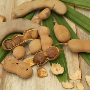 Tamarind For Sale Online