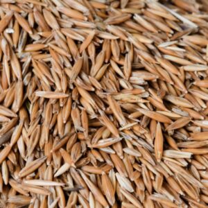 Wheat For Sale Online