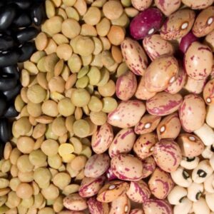 Buy Beans Online