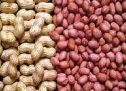 Peanuts For Sale Online