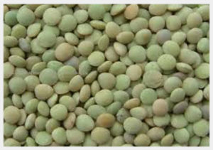 Lentils For Sale Online