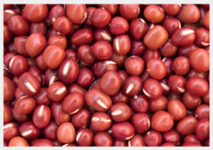 Sorghum For Sale Online